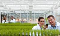 Agrochem